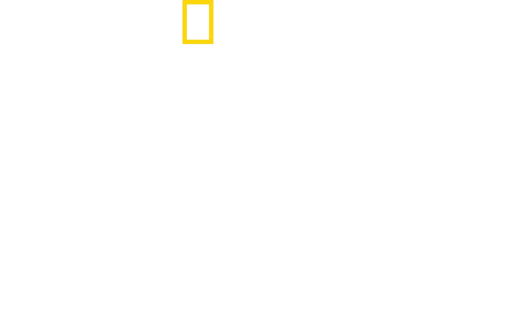 Free Solo - Sfida Estrema