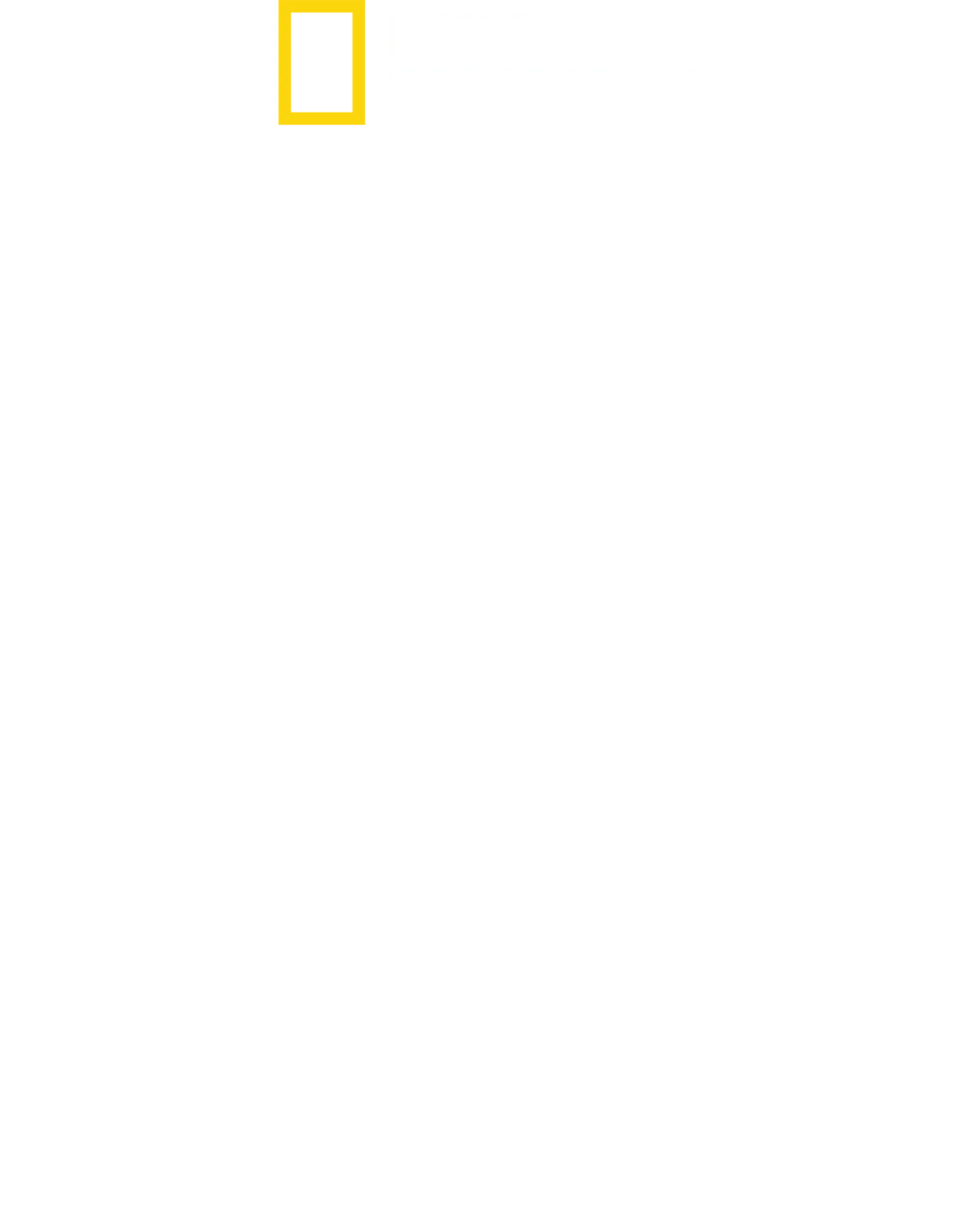 野性黃石公園