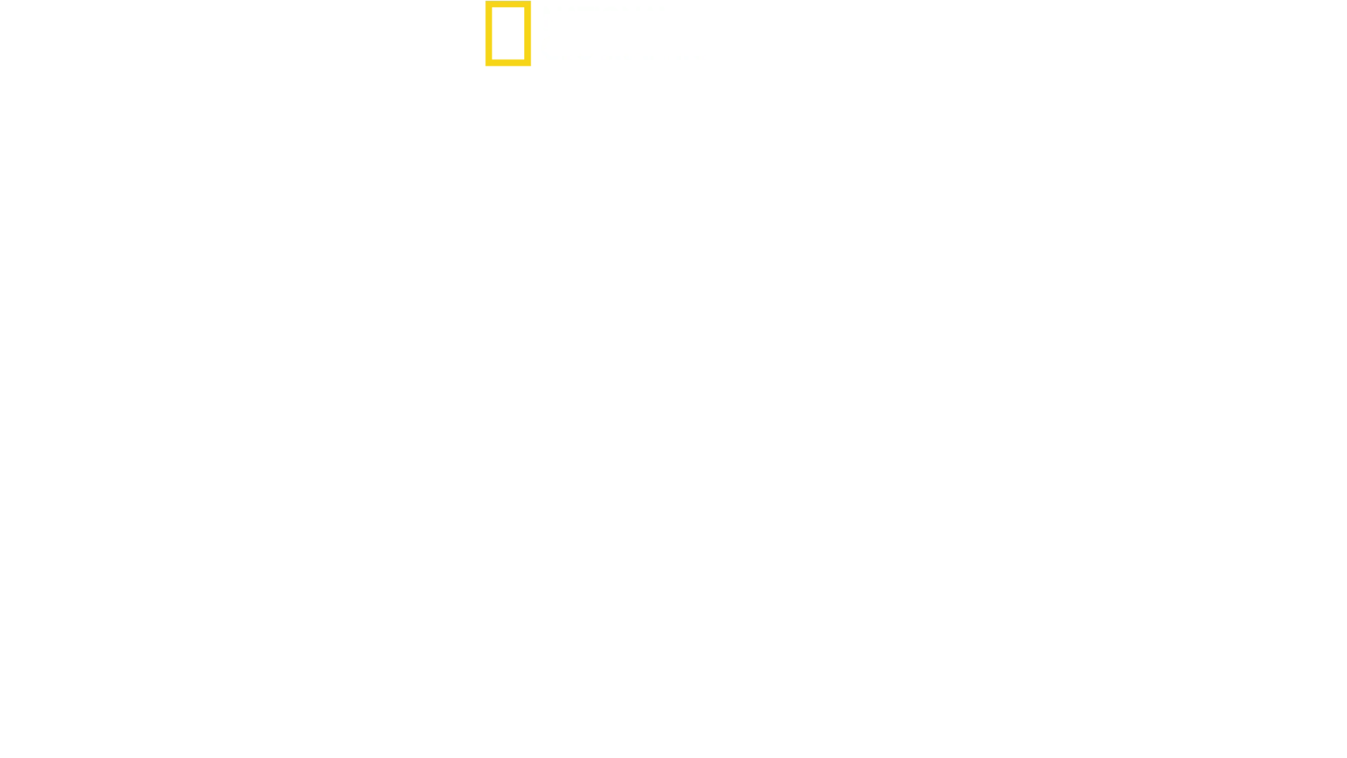 Disney's Animal Kingdom’ın Sihri