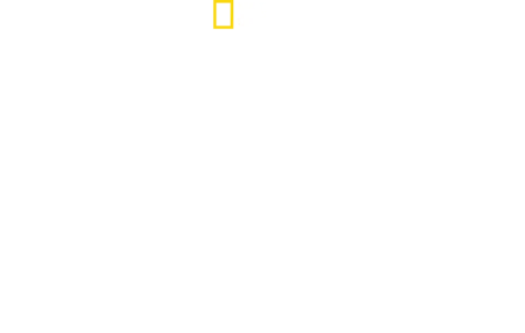 Disney's Animal Kingdom’ın Sihri