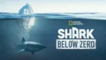 thumbnail - Shark Below Zero
