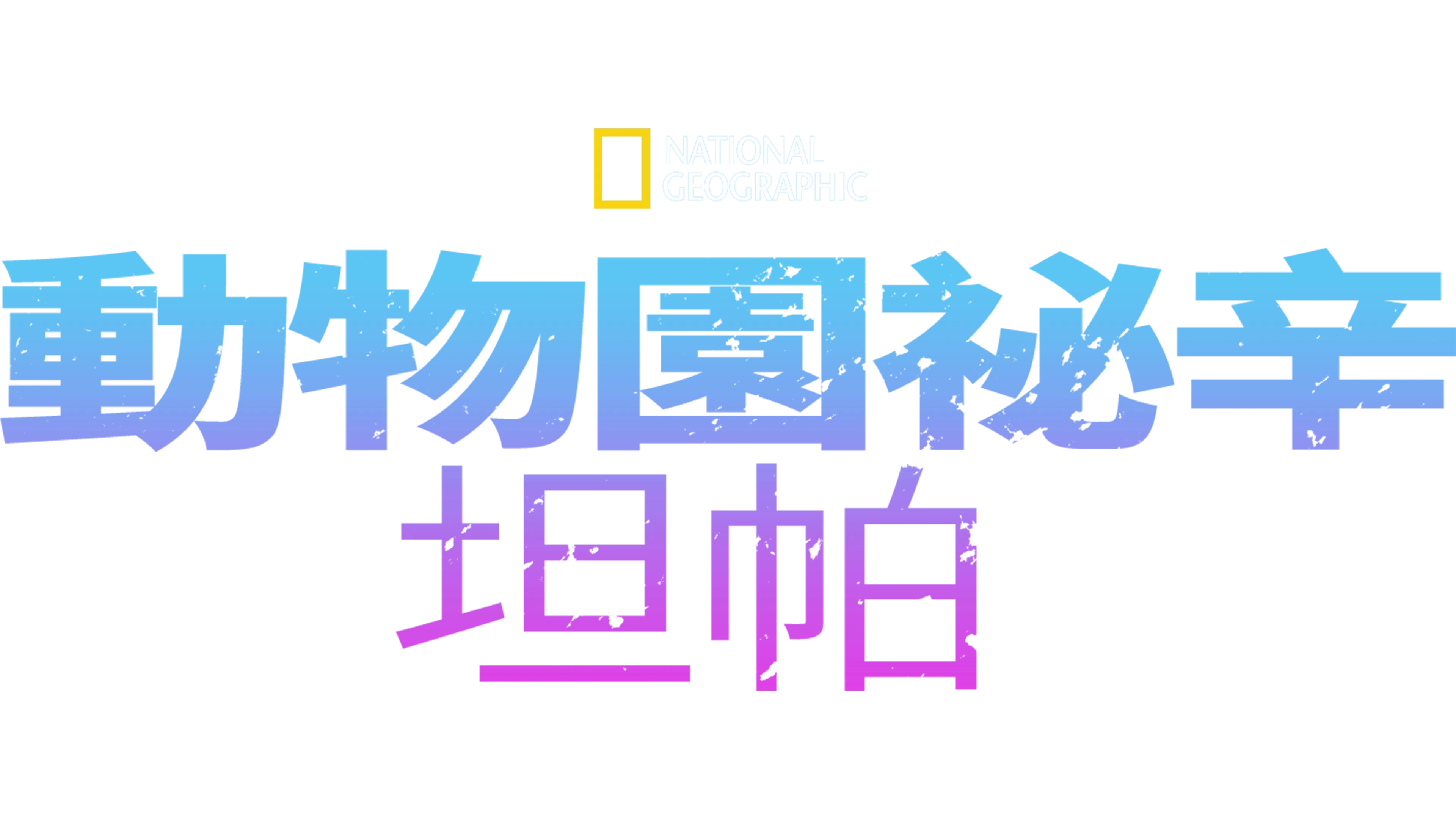 動物園祕辛：坦帕