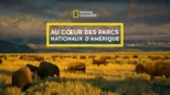 thumbnail - Au cœur des parcs nationaux d'Amérique