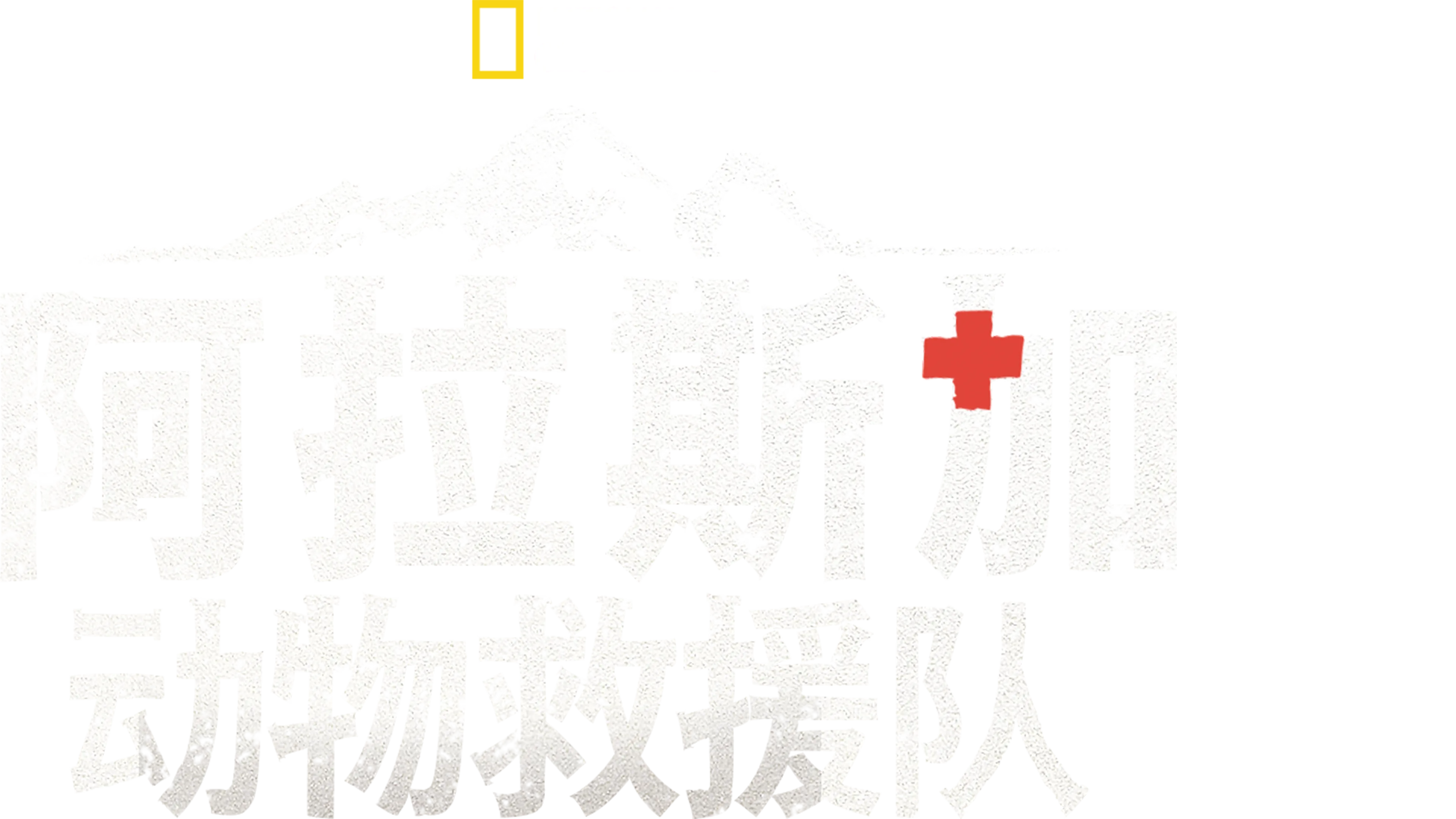 阿拉斯加动物救援队