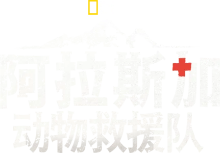 阿拉斯加动物救援队