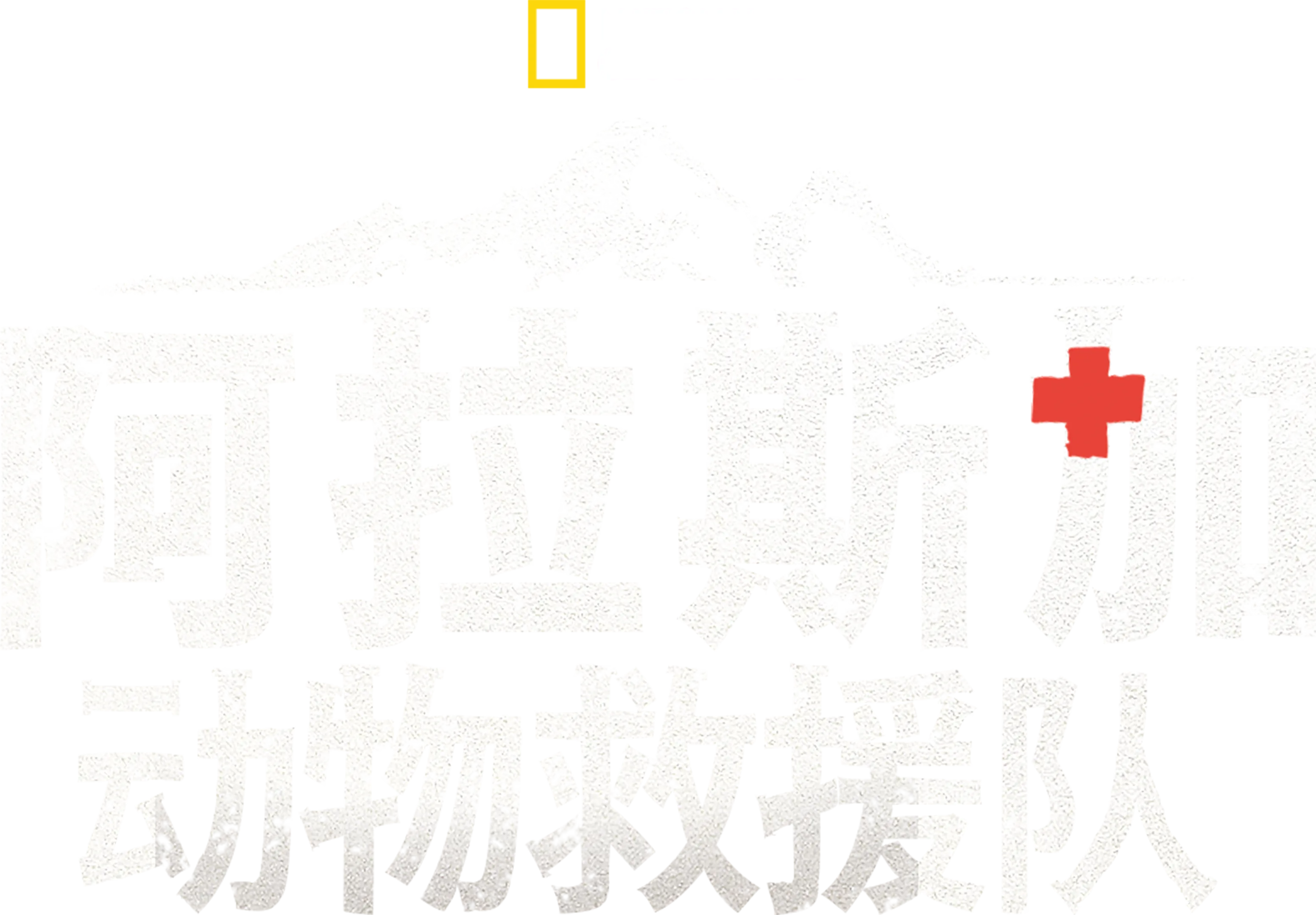 阿拉斯加动物救援队