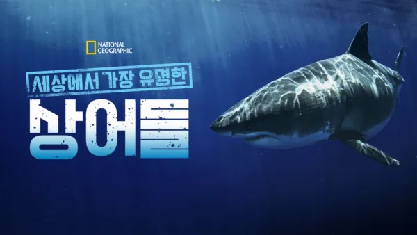 thumbnail - 세상에서 가장 유명한 상어들