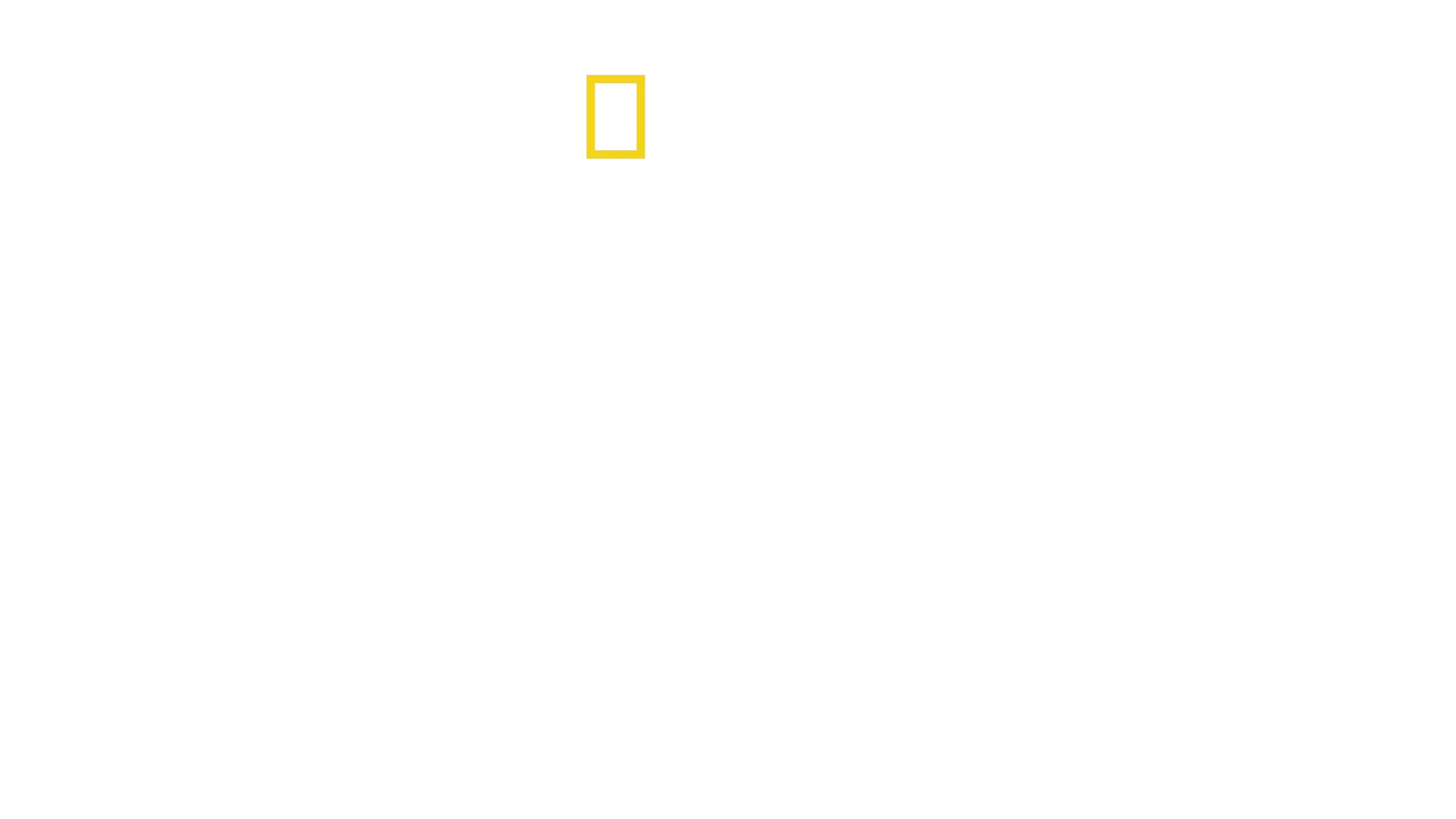 Familia de Animales