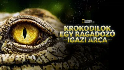 thumbnail - Krokodilok: Egy ragadozó igazi arca