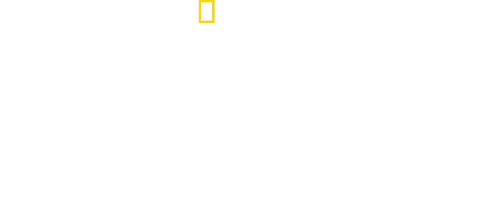 El regreso de la pantera longibanda