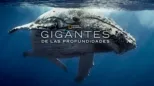 thumbnail - Gigantes de las profundidades