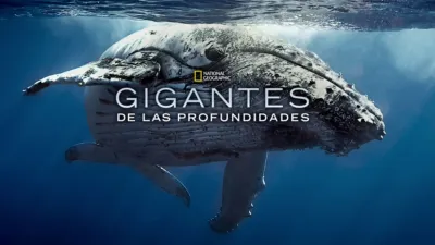Gigantes de las profundidades