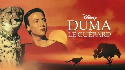 Duma le guépard
