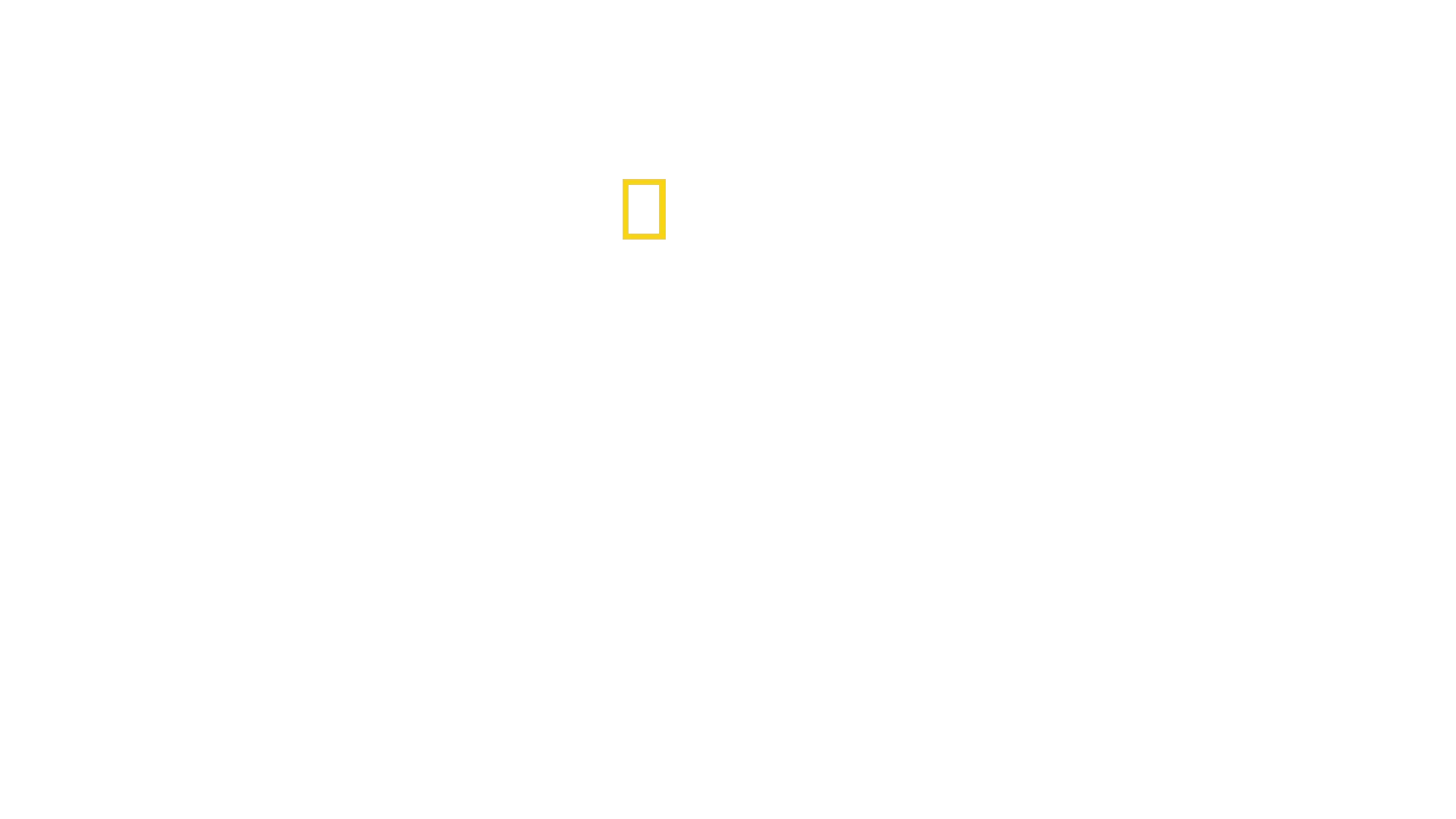 Miraklet på Hudsonfloden