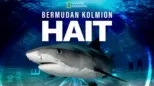 thumbnail - Bermudan kolmion hait