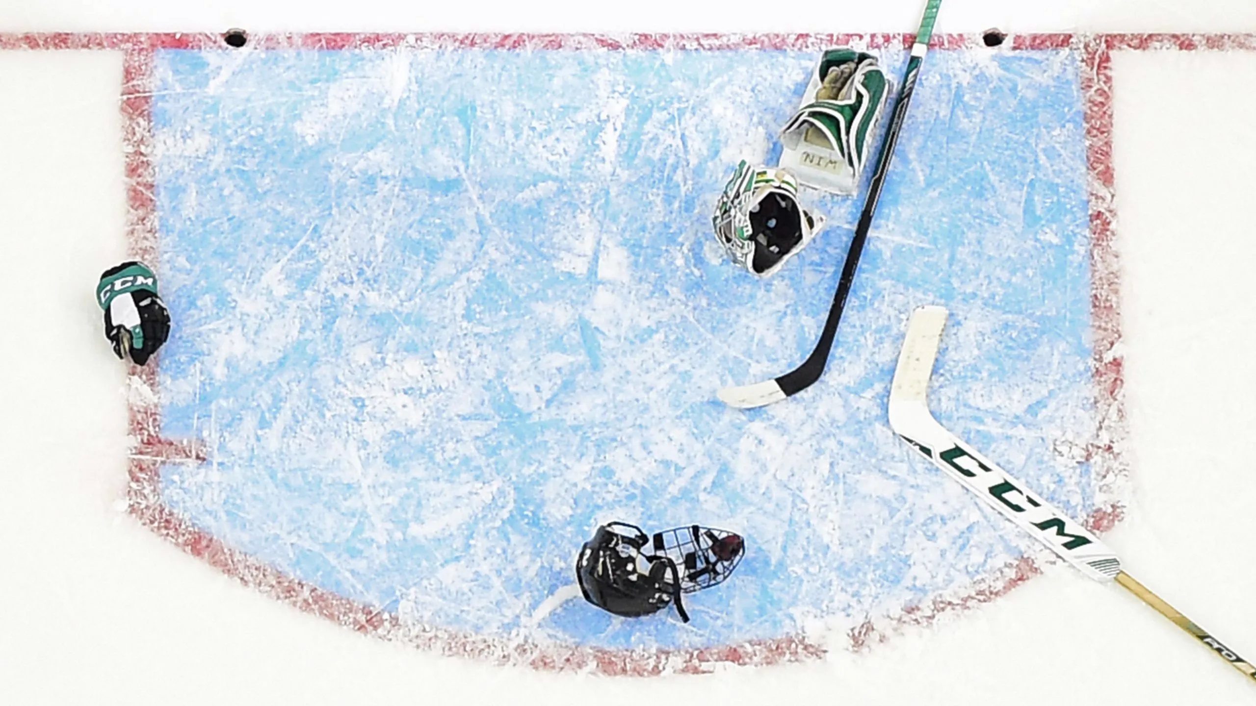 NCAA Women's Hockey