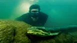 thumbnail - David Blaine Do Not Attempt S1:E1 Brazil