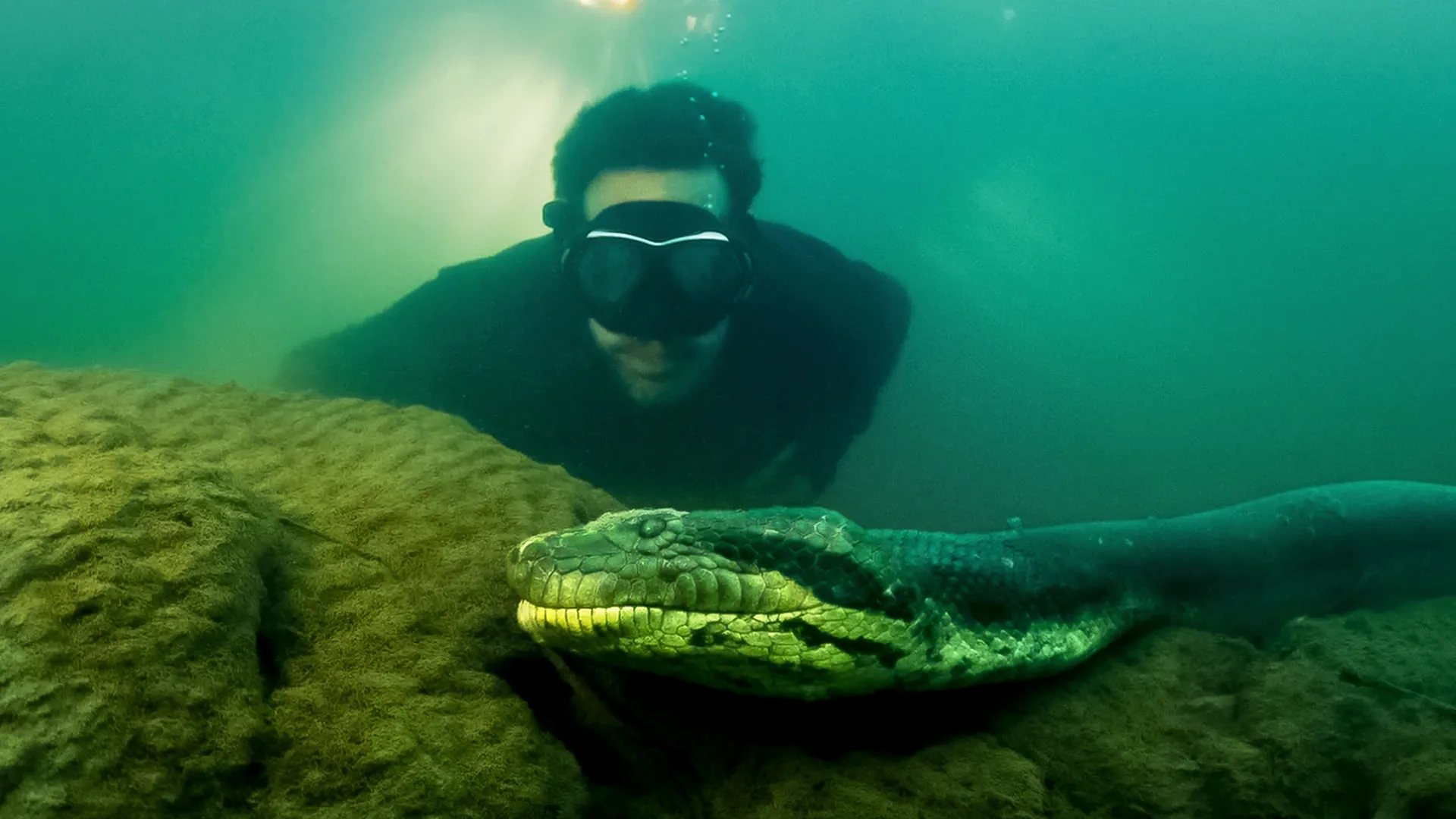 thumbnail - S1:E1 Brazil