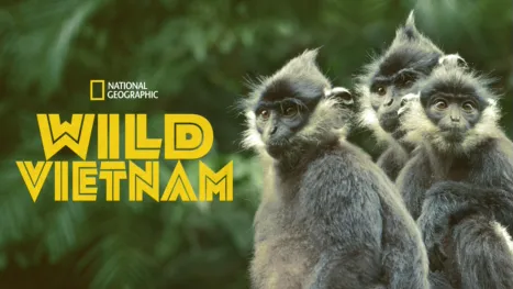 thumbnail - Wild Vietnam