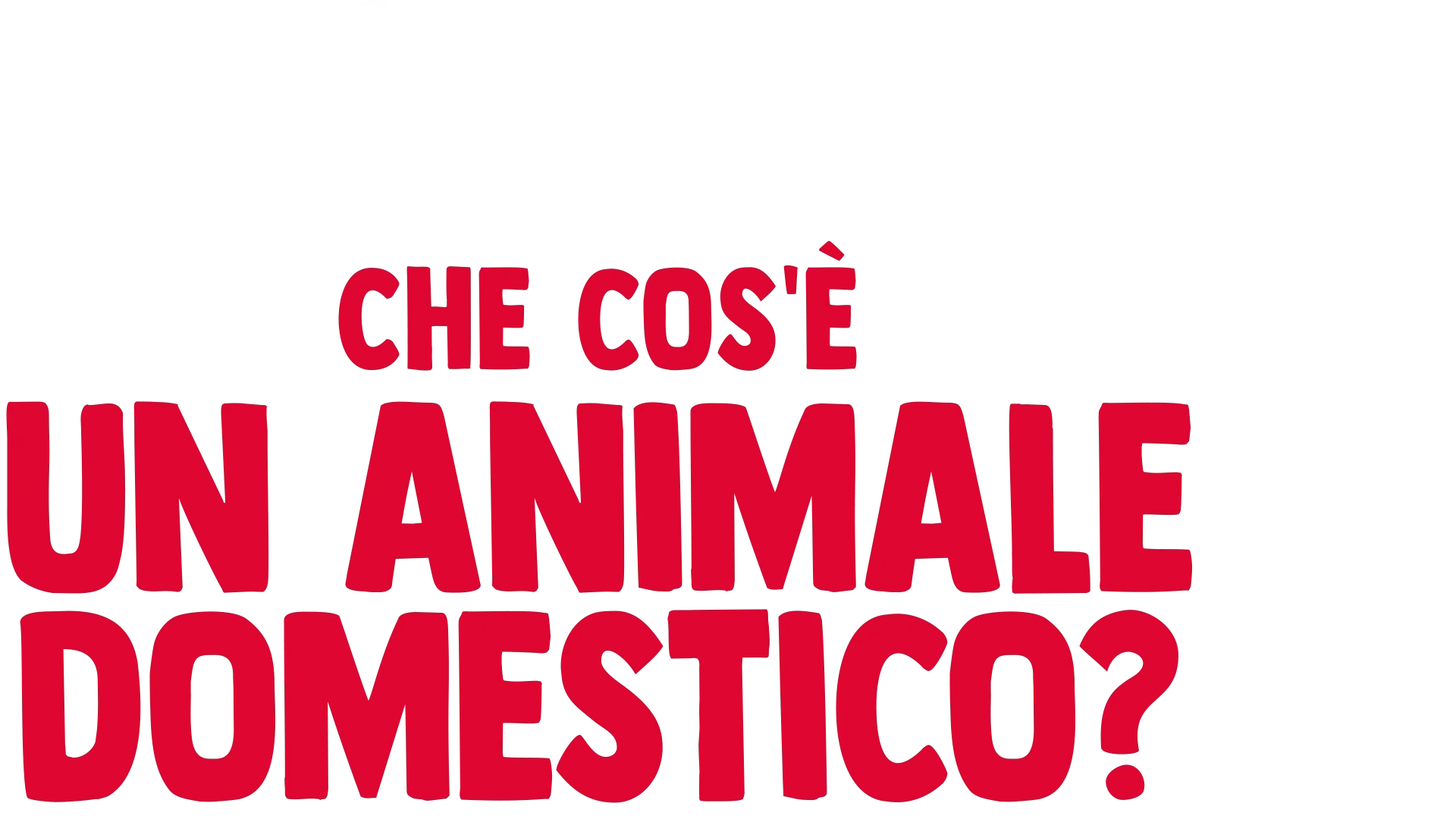 I perché di Forky: Che cos'è un animale domestico?