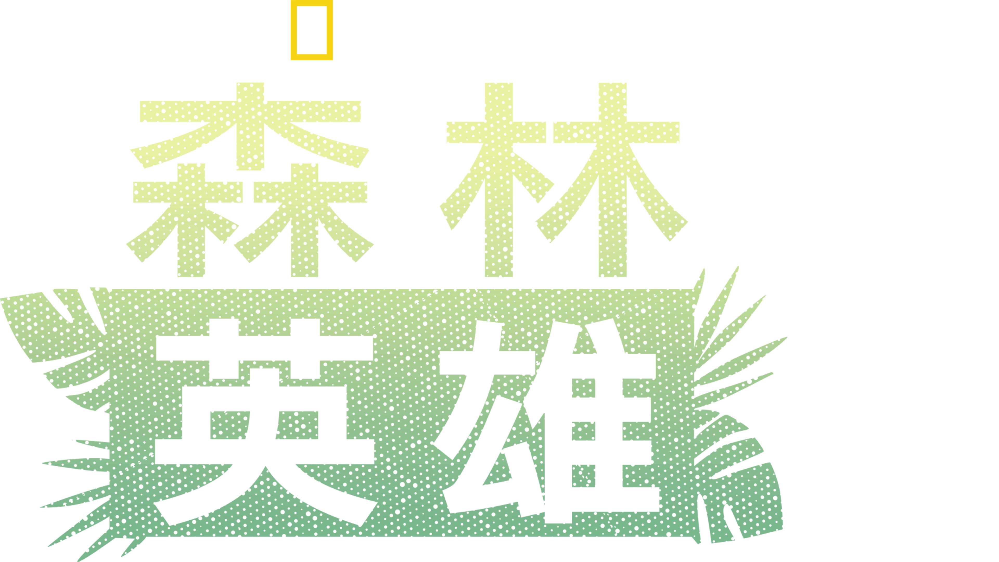 森林英雄