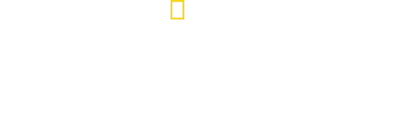 Defendendo a Europa