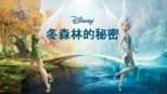 thumbnail - 冬森林的秘密