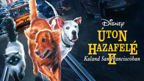 thumbnail - Úton hazafelé 2: Kaland San Franciscóban
