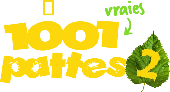 1001 vraies pattes
