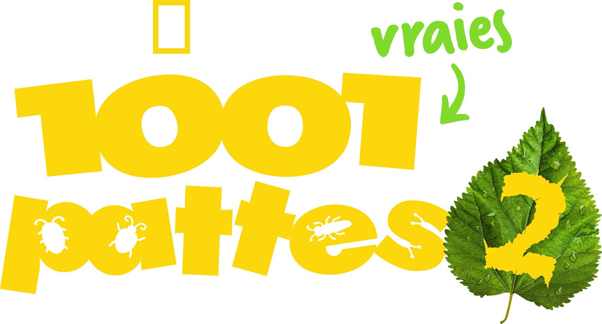 1001 vraies pattes