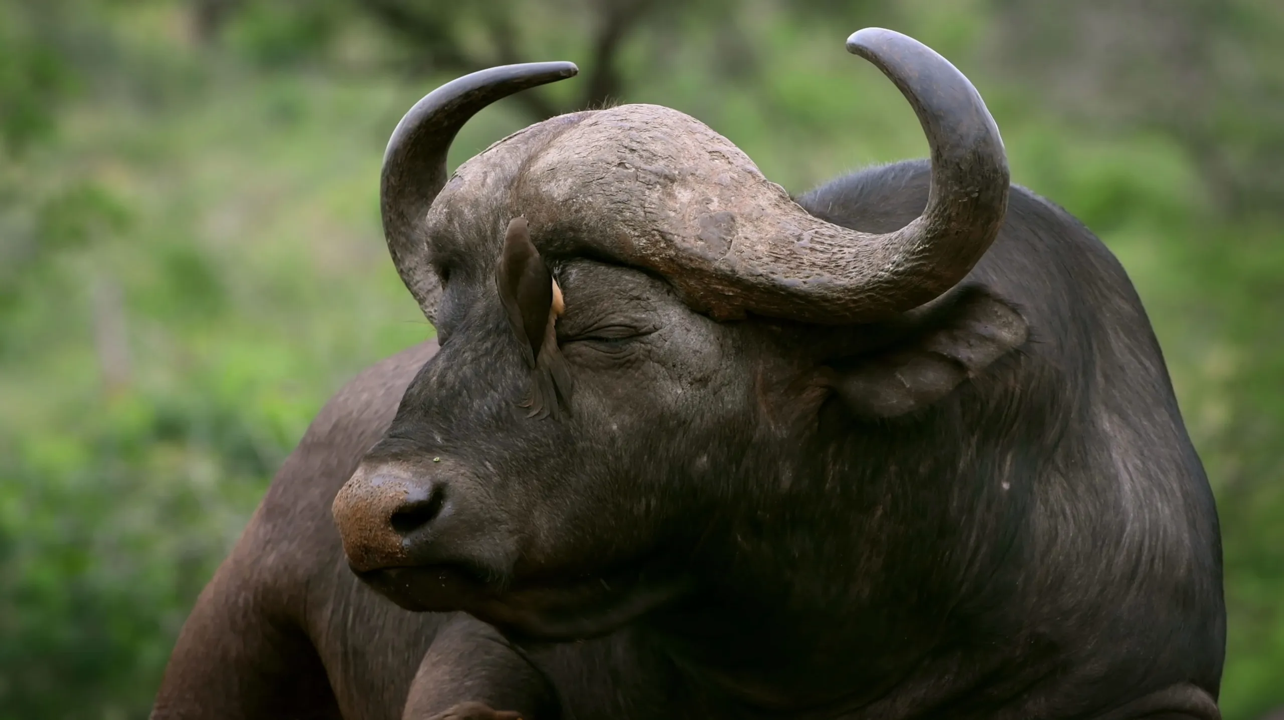 thumbnail - S1:E5 Fight Club