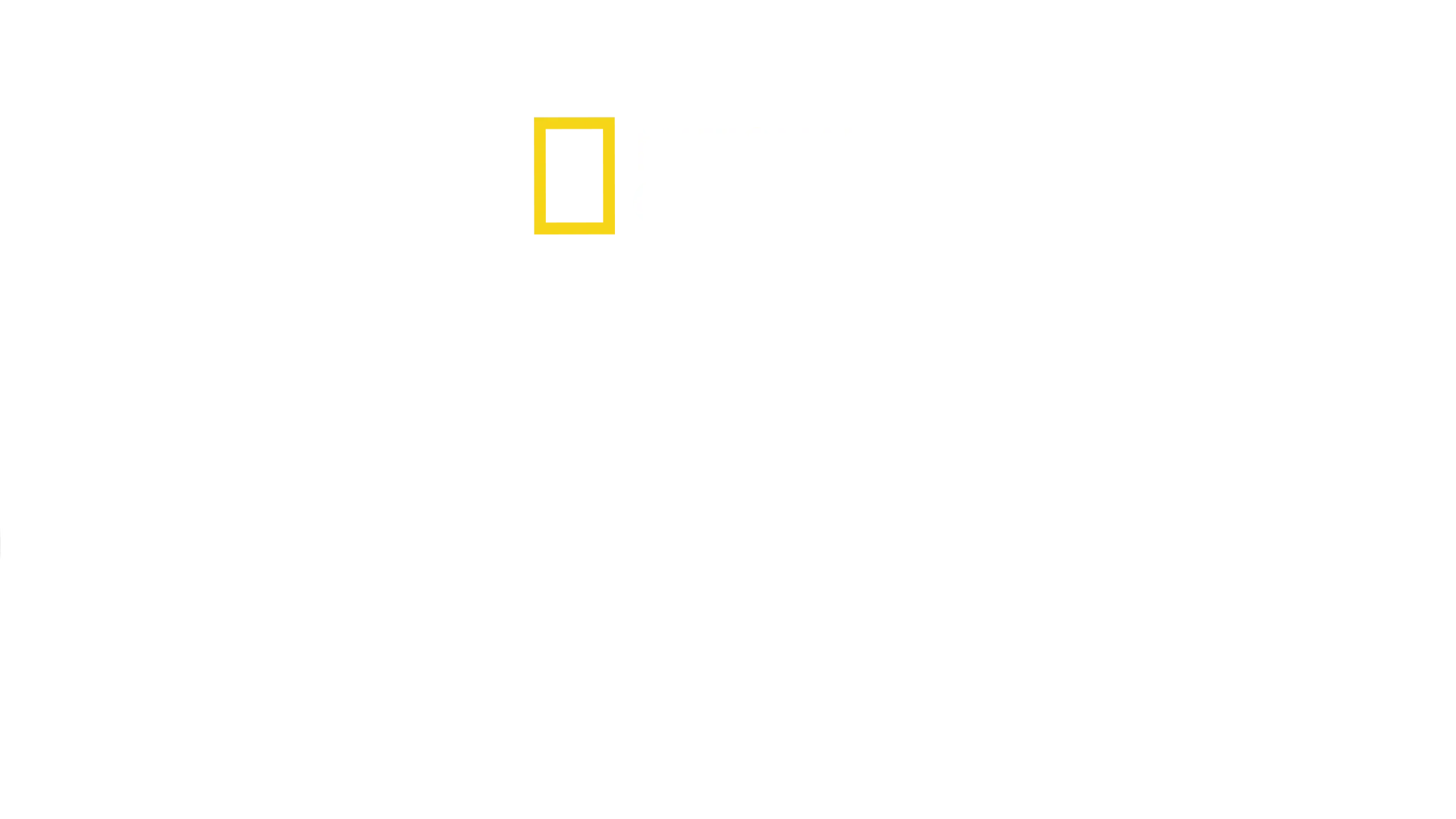 Pod hladinou s Cousteauem