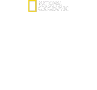Världens största vithaj?