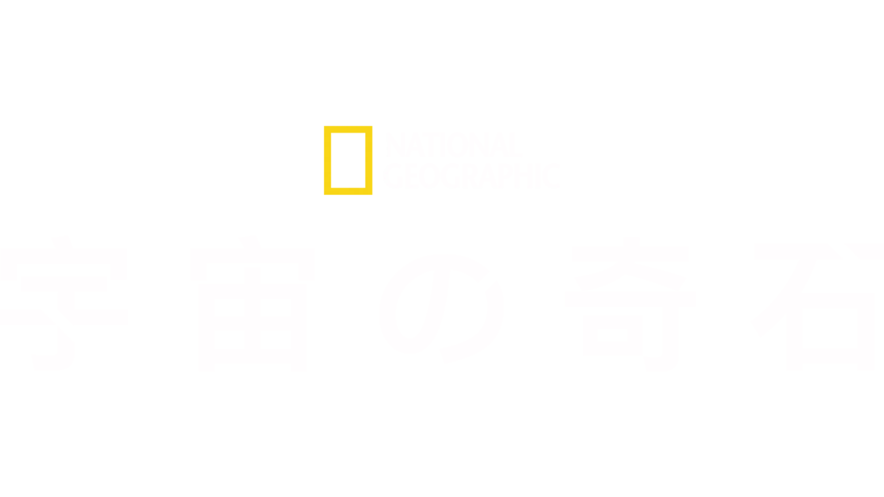 宇宙の奇石