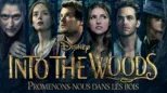 thumbnail - Into the Woods - Promenons-nous dans les bois