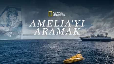 thumbnail - Amelia'yı Aramak