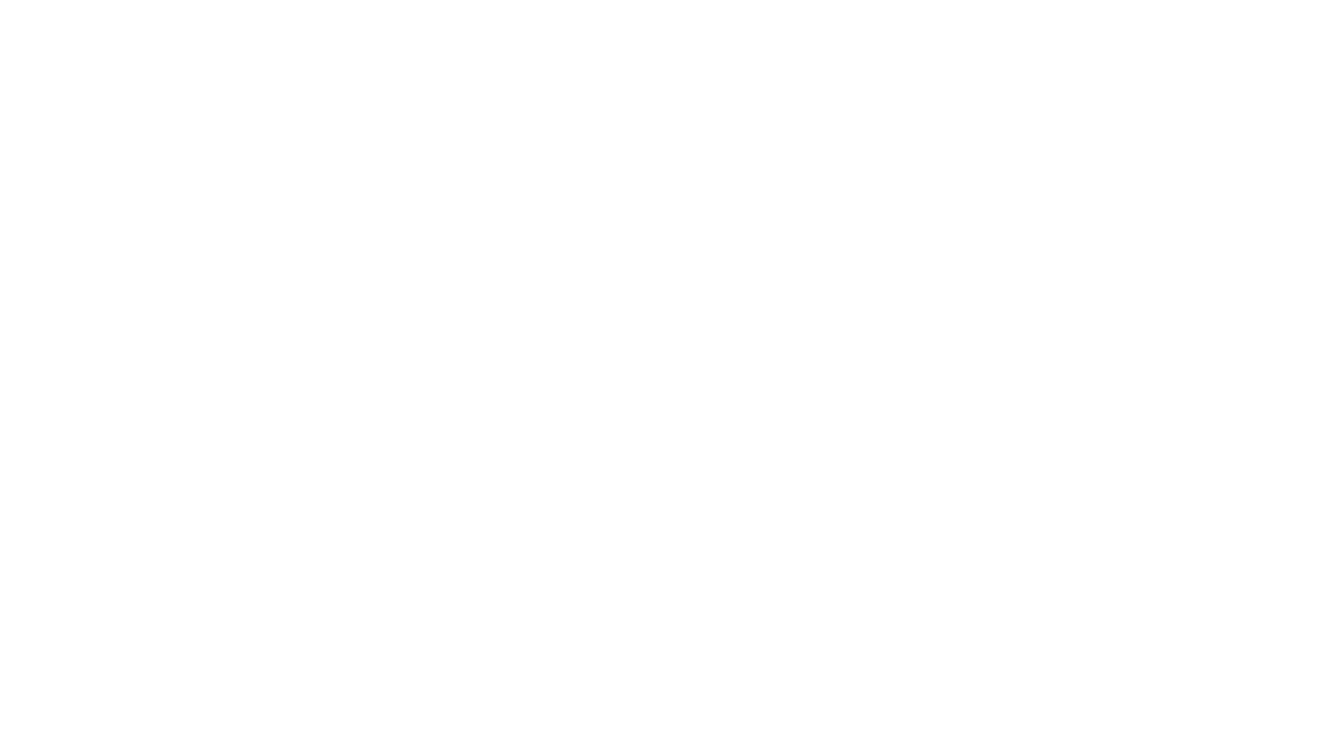 Because of Winn-Dixie
