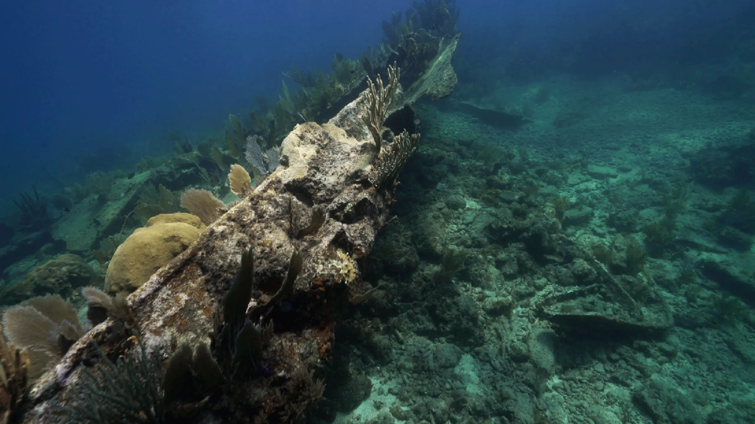 thumbnail - S1:E10 Shipwreck Reef