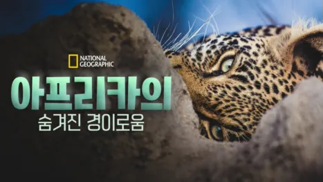 thumbnail - 아프리카의 숨겨진 경이로움