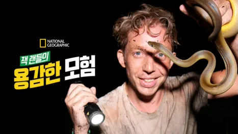 thumbnail - 잭 랜들의 용감한 모험