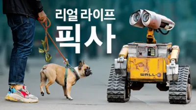 리얼 라이프, 픽사