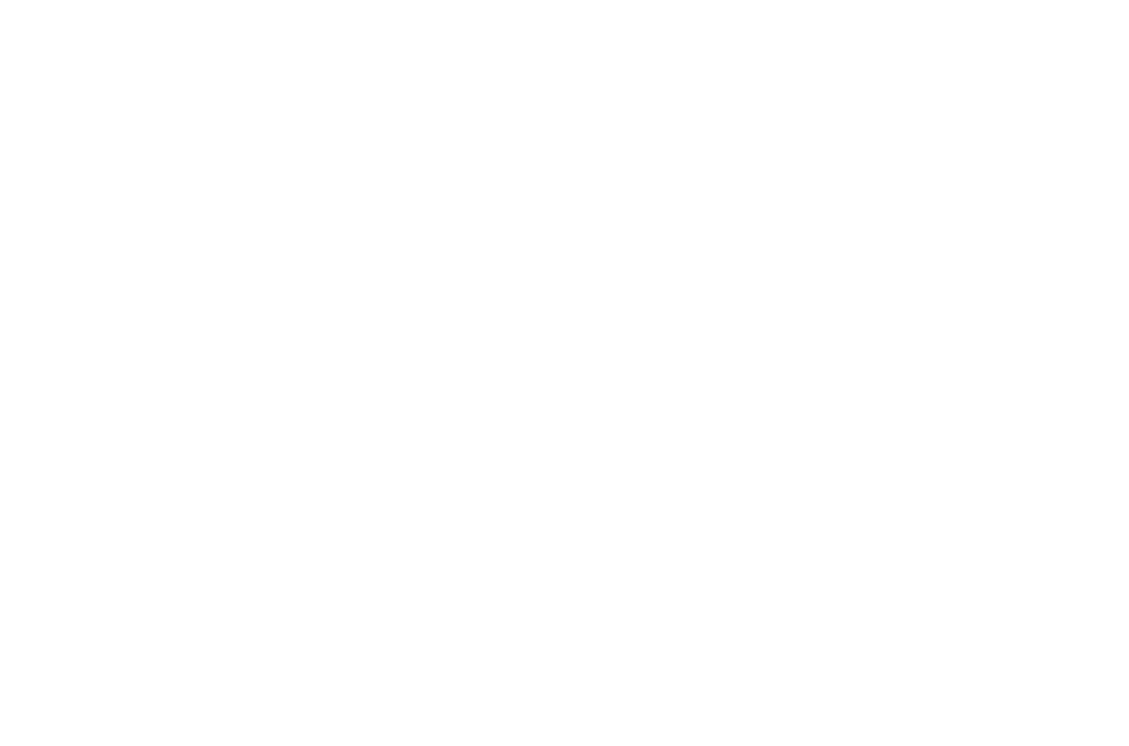 Alex, le destin d'un roi