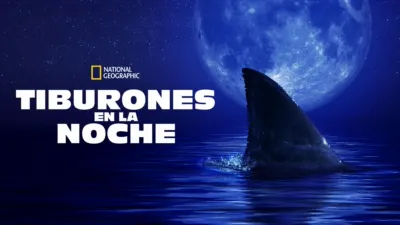 Tiburones en la noche