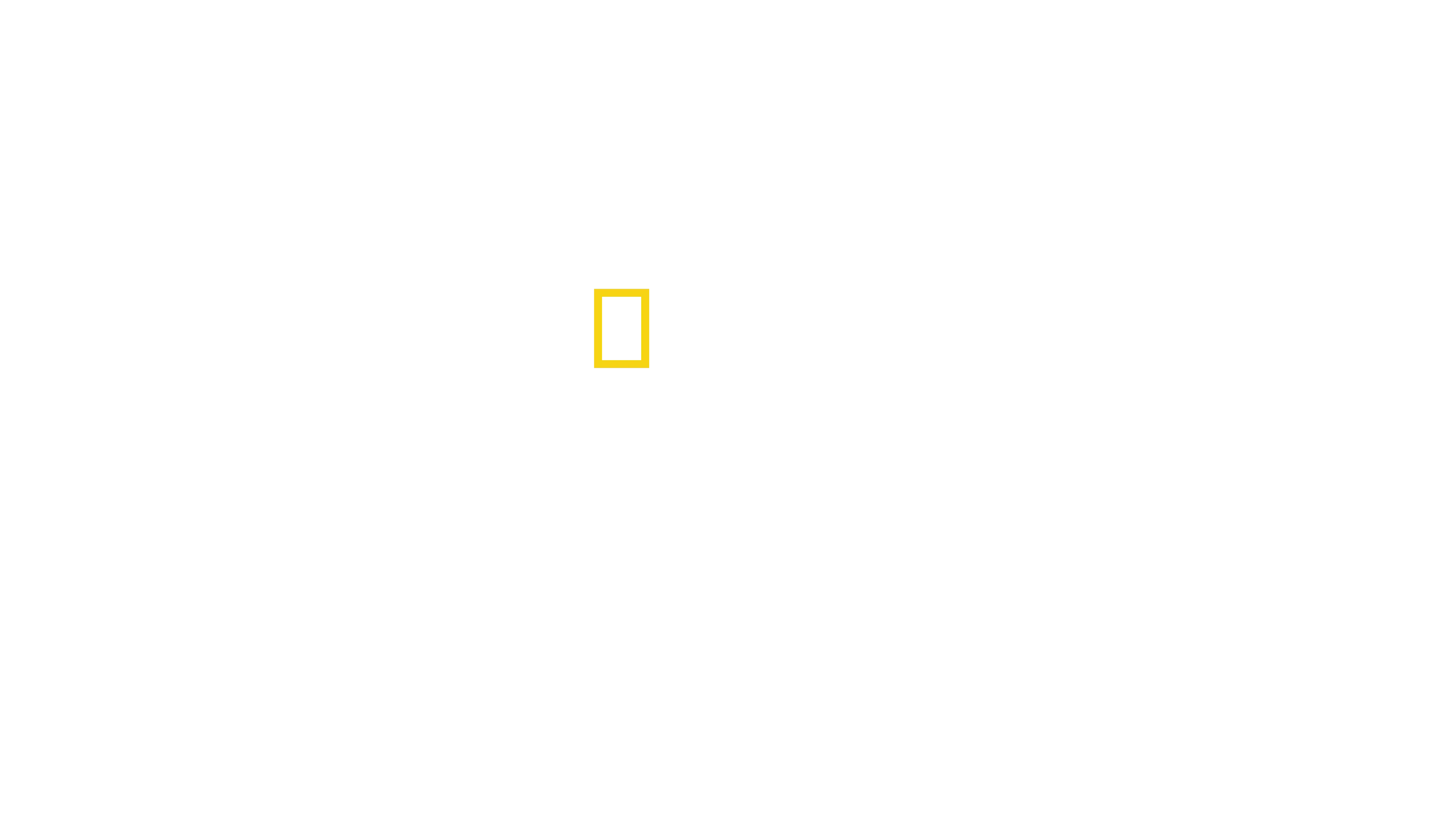 Mestres da Fotografia