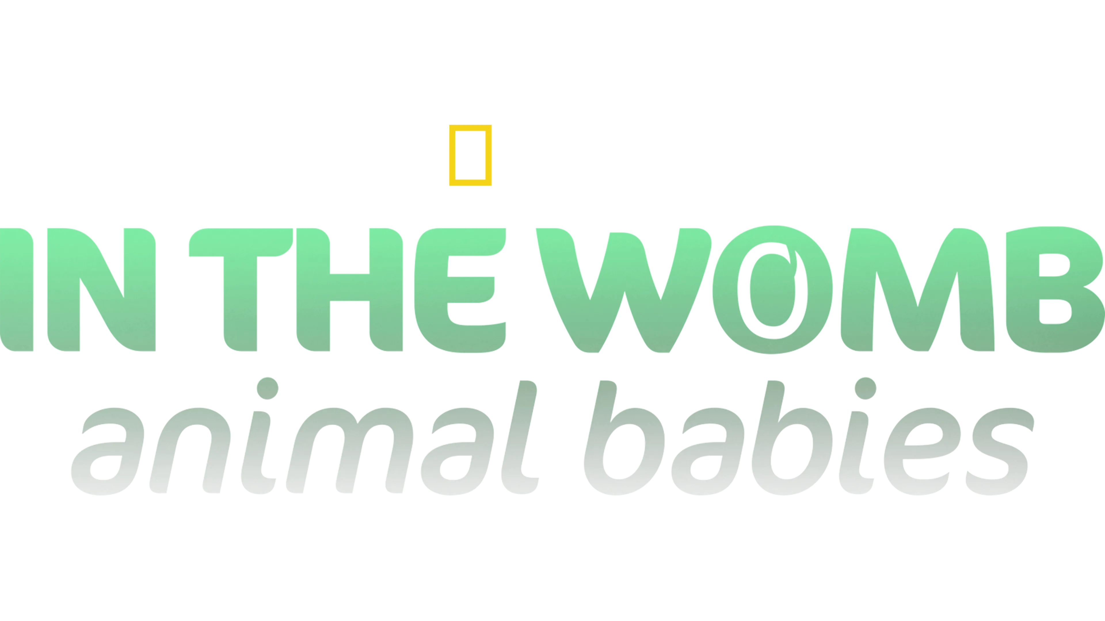 In The Womb: Animal Babies