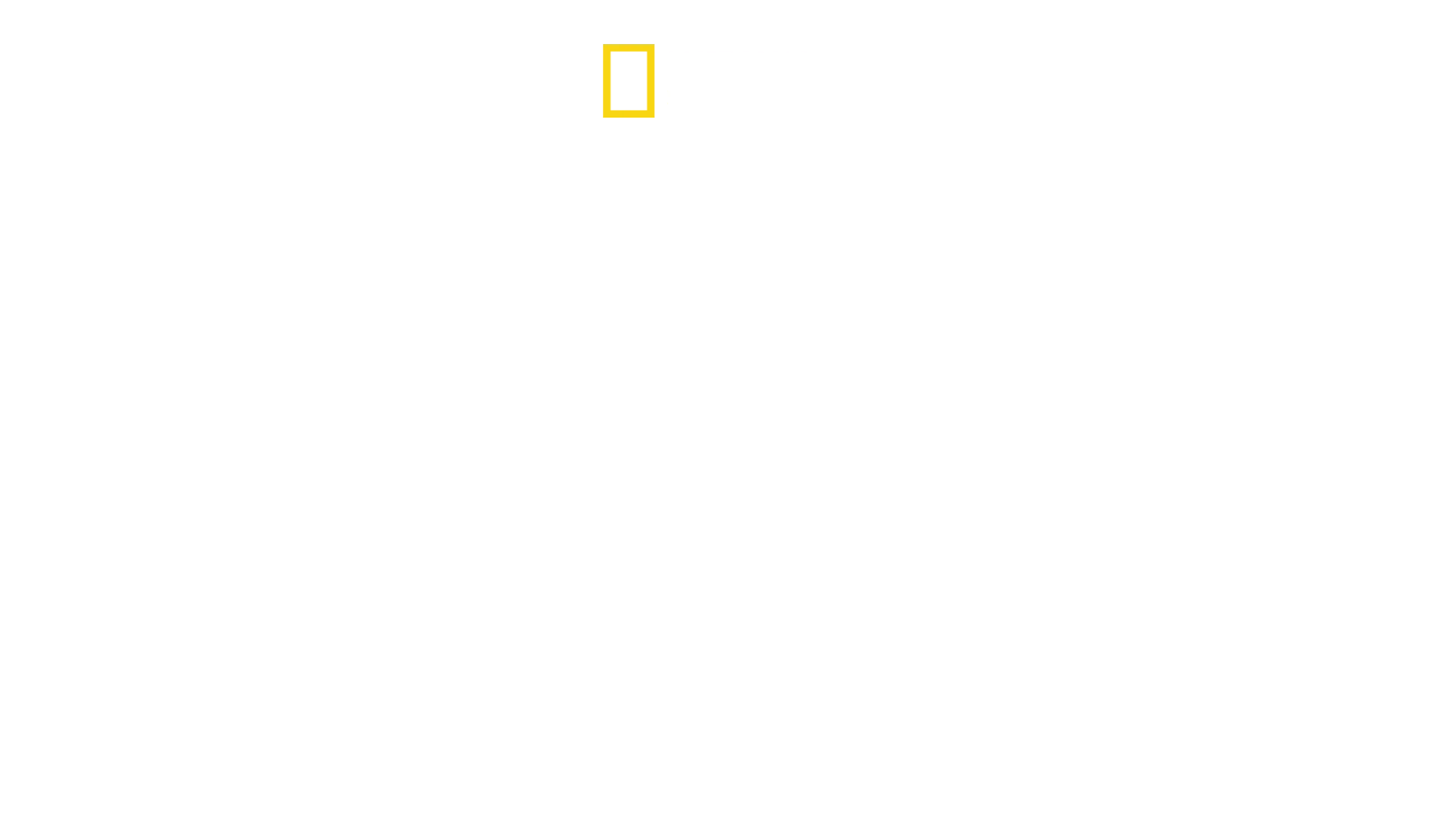 Școala Vieții În Lumea Animalelor