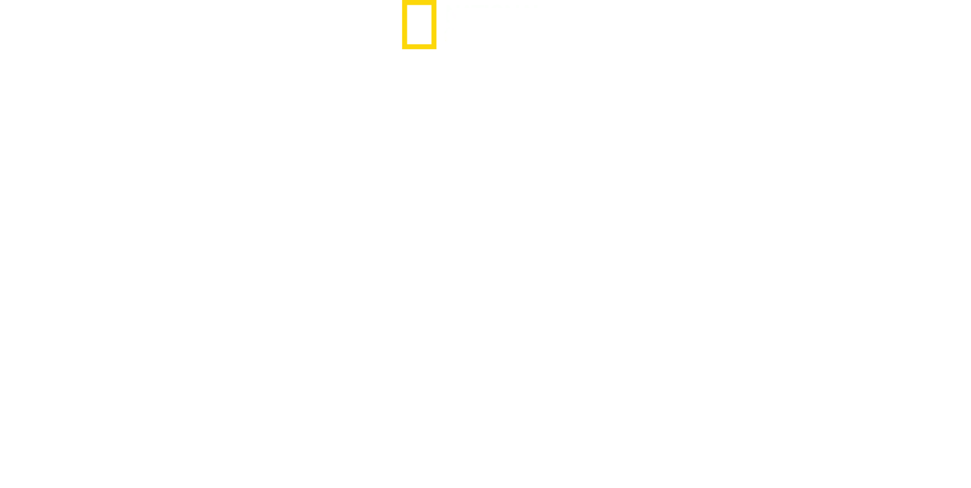 Școala Vieții În Lumea Animalelor