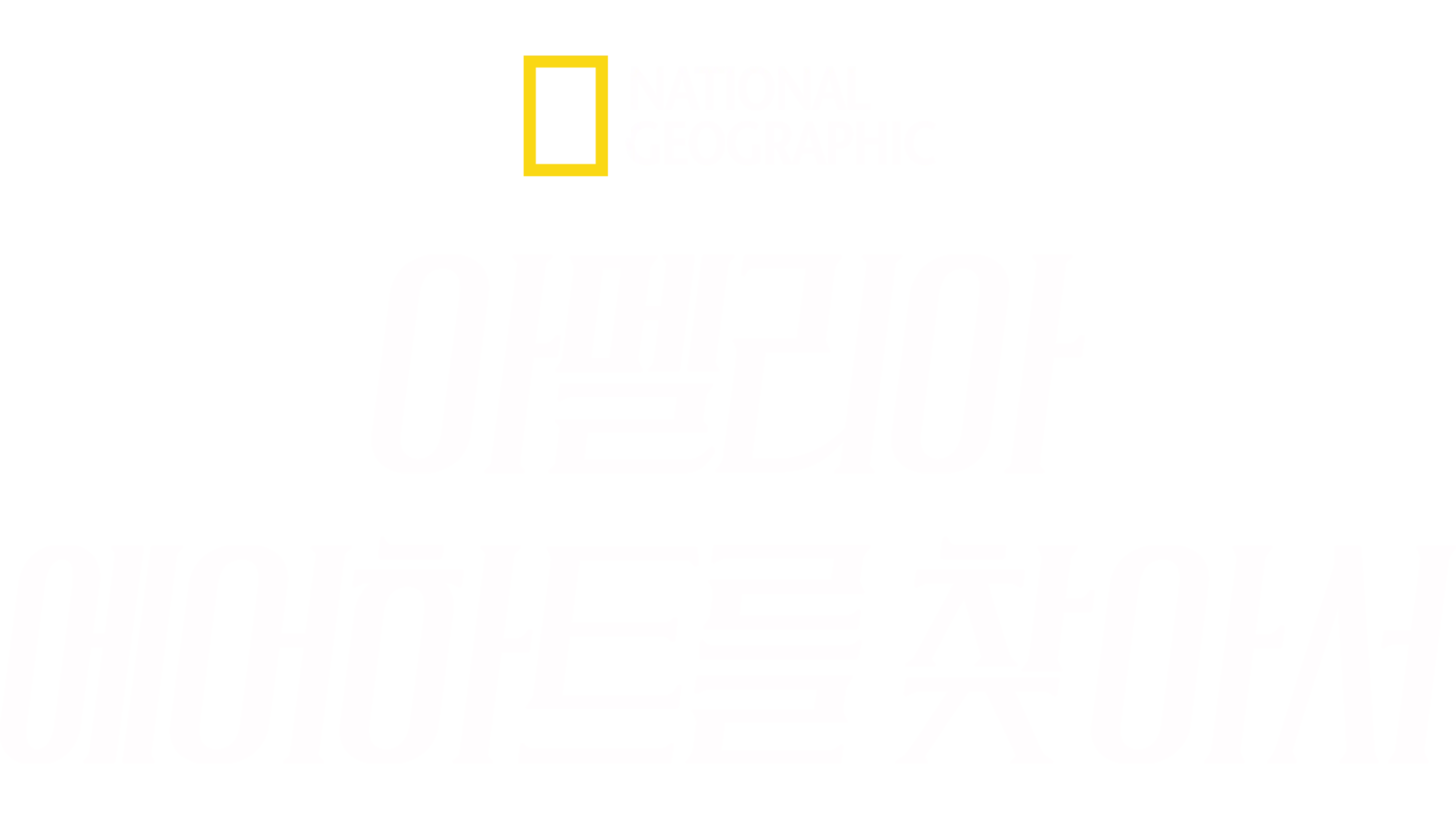 아멜리아 에어하트를 찾아서