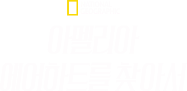 아멜리아 에어하트를 찾아서