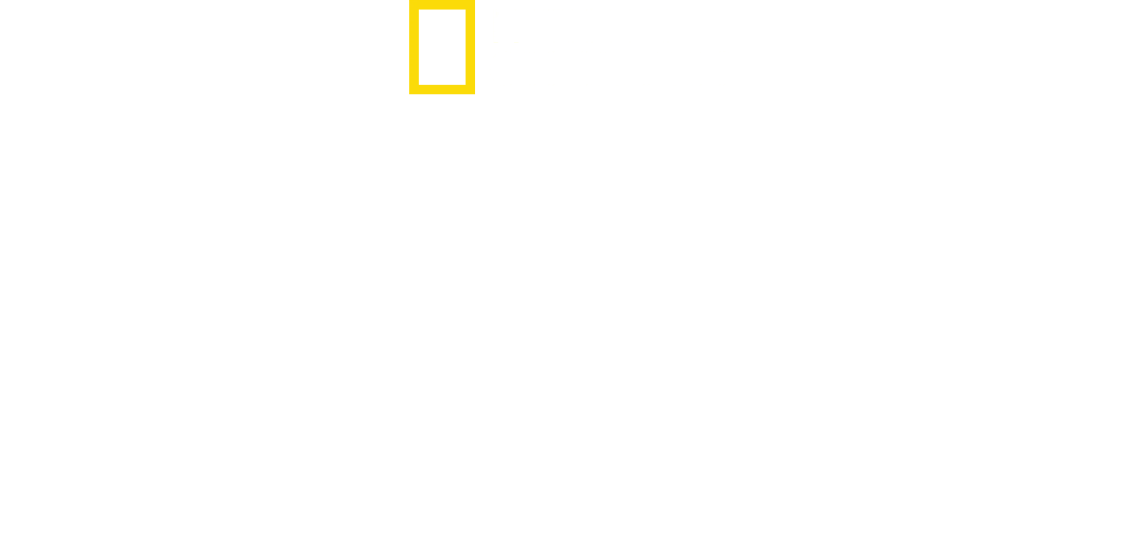 아멜리아 에어하트를 찾아서